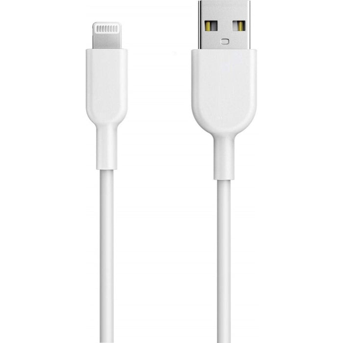 iPad oplader kabel - 1 Meter - Geschikt voor Apple iPad 2017,2018,2019,2020,2021,Air,Air 2,Air 3,10.2,Mini 3,4,5- iPad kabel - iPad oplaadkabel - iPad snoertje - iPad lader - Datakabel - Datakabel - Lightning USB kabel