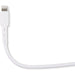 25W USB-C Adapter met iPhone Kabel 2 Meter - Voor iPhone 8, X, 11, 12, 13, iWatch en iPad - Sneller, Compacter en Veiliger met PPS-Fast Charging - Opladers - Phreeze