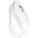 Draadloze Muis met Duimsteun - Bluetooth Muis en Draadloos Muis - Stille Muis - Silent Mouse - Draadloze Muis - Tablet Muis - Bluetooth Muis voor Laptop, HP, thuiswerken, Logitech, Microsoft, Chromebook, Apple MacBook, Android - Computer - Phreeze