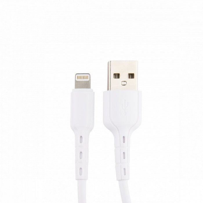 Snellader met Dubbele USB Poort met 2x iPhone Kabel 2 Meter voor iPhone, iPad en meer